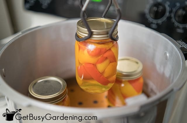 Putting a jar of peppers into the canner