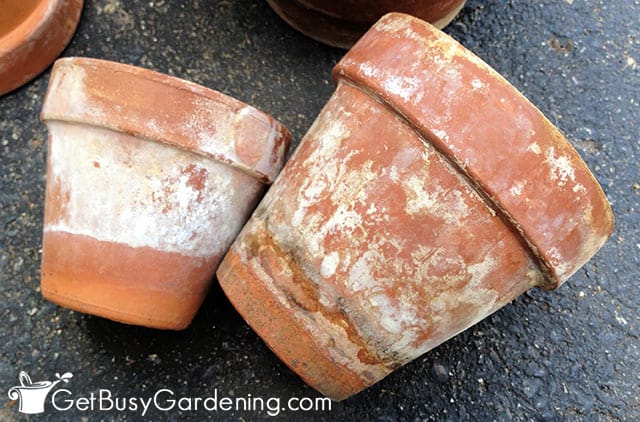 White crust on pots from chemical buildup