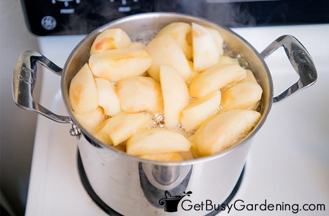 Boiling apple pieces to soften them