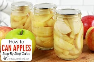 How To Can Apples