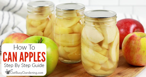 Canning Apples With Or Without A Pressure Canner   Canning Apples FB 