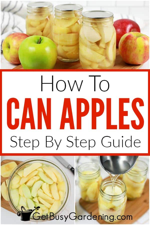 How To Can Apples Step By Step Guide