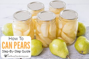 How To Can Pears