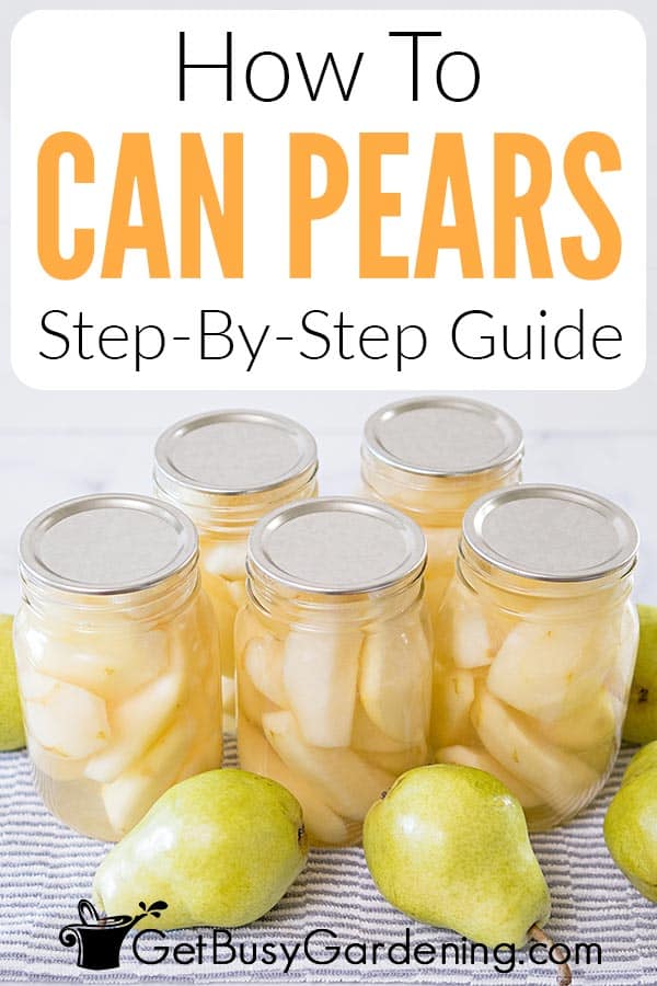 How To Can Pears Step-By-Step Guide