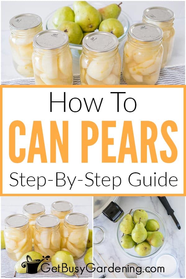 How To Can Pears Step-By-Step Guide