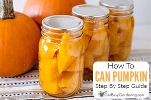 How To Can Pumpkin