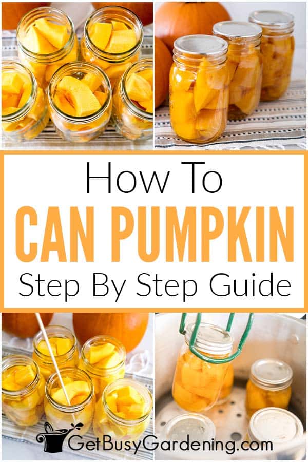 How To Can Pumpkin Step By Step Guide