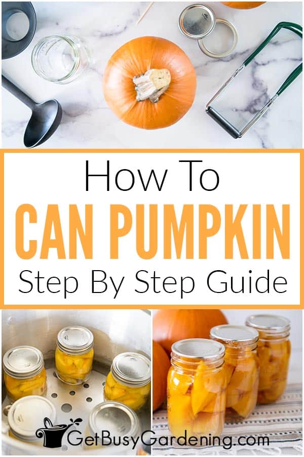How To Can Pumpkin Step By Step Guide