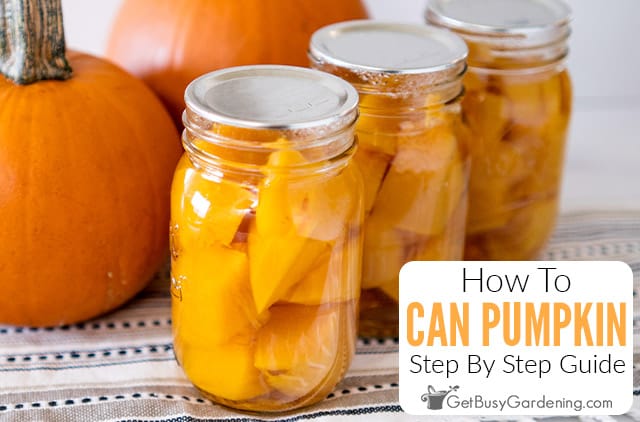 How To Can Pumpkin