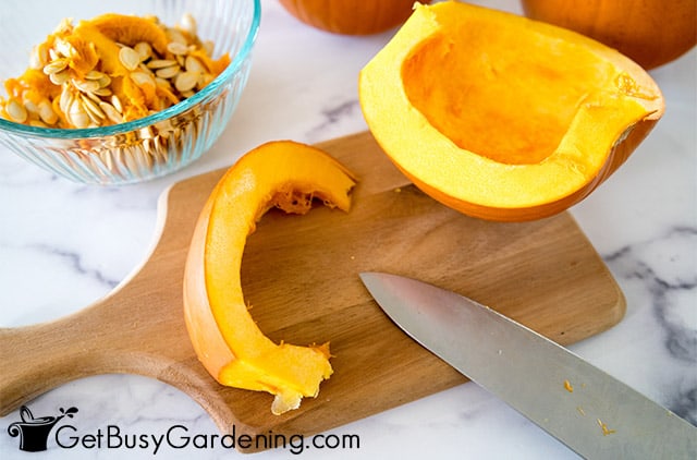 Cutting pumpkins into chunks
