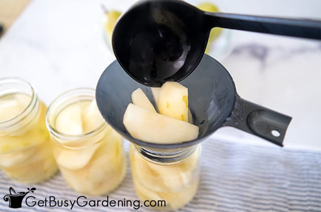 Filling canning jars with pears