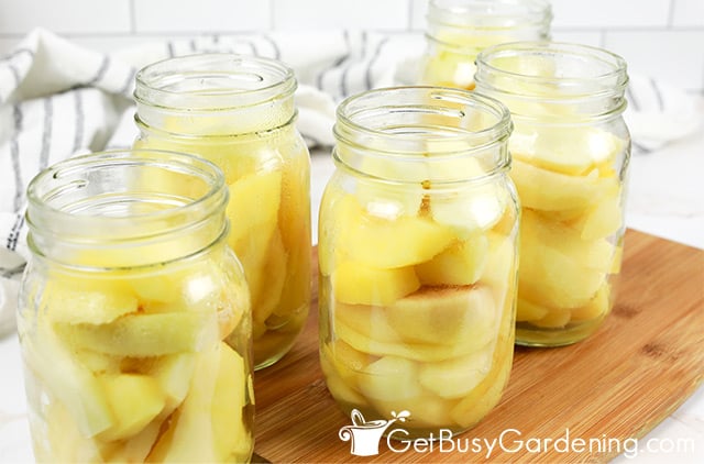 Jars of apples packed and ready to can