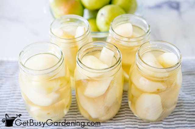 Pear slices packed into canning jars