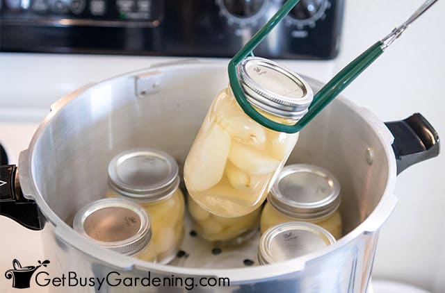 Putting a jar of pears into the canner