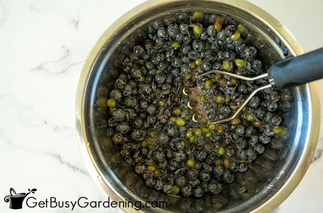 Crushing fresh grapes for jelly