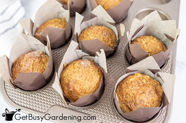 Fresh baked healthy apple muffins