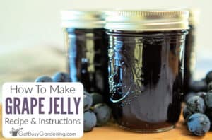 Homemade Grape Jelly Recipe (Quick &amp; Easy!)