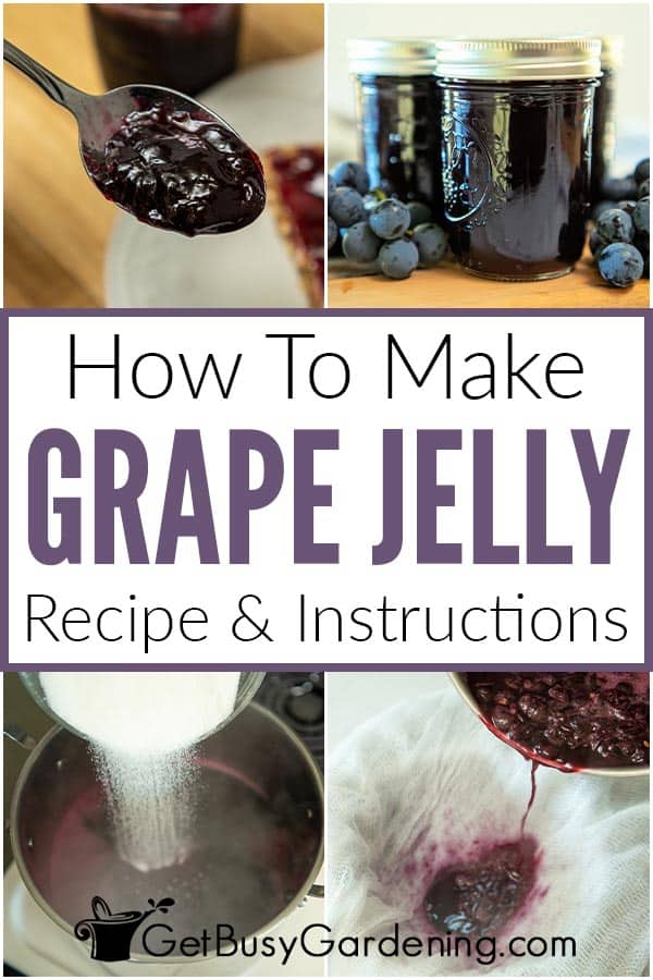 How To Make Grape Jelly Recipe & Instructions