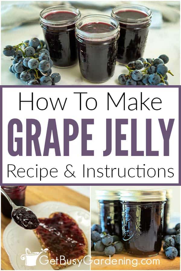How To Make Grape Jelly Recipe & Instructions