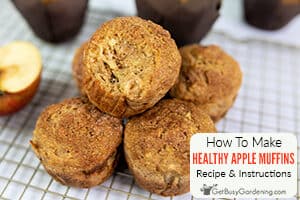 Easy Healthy Apple Muffins Recipe