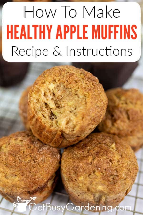 How To Make Healthy Apple Muffins Recipe & Instructions