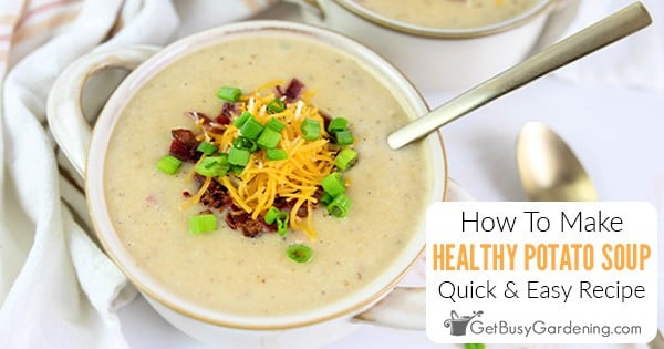 Healthy Potato Soup Recipe (Quick & Easy) - Get Busy Gardening
