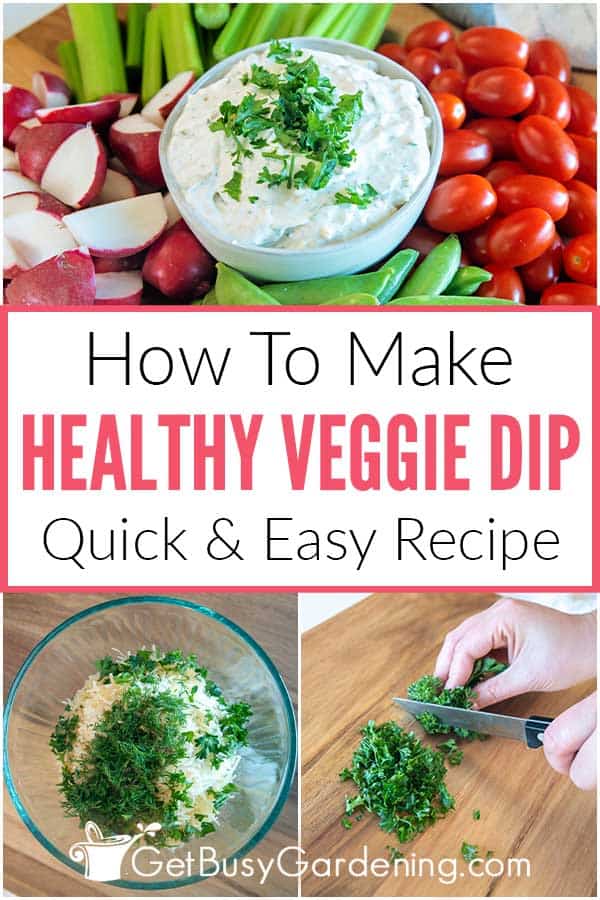 How To Make Healthy Veggie Dip Quick & Easy Recipe