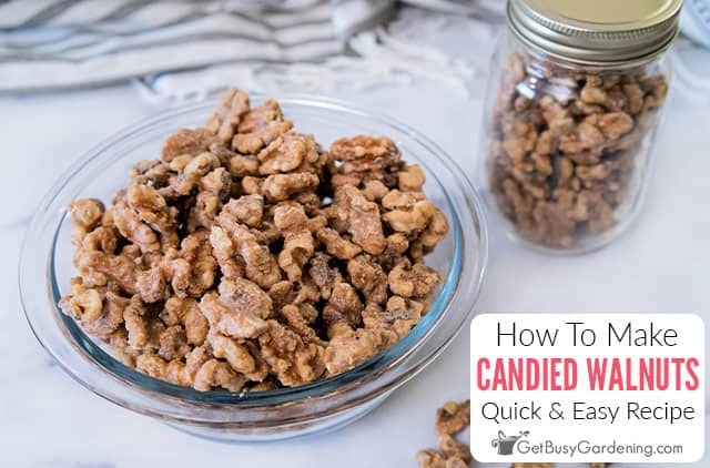 Quick & Easy Candied Walnuts Recipe