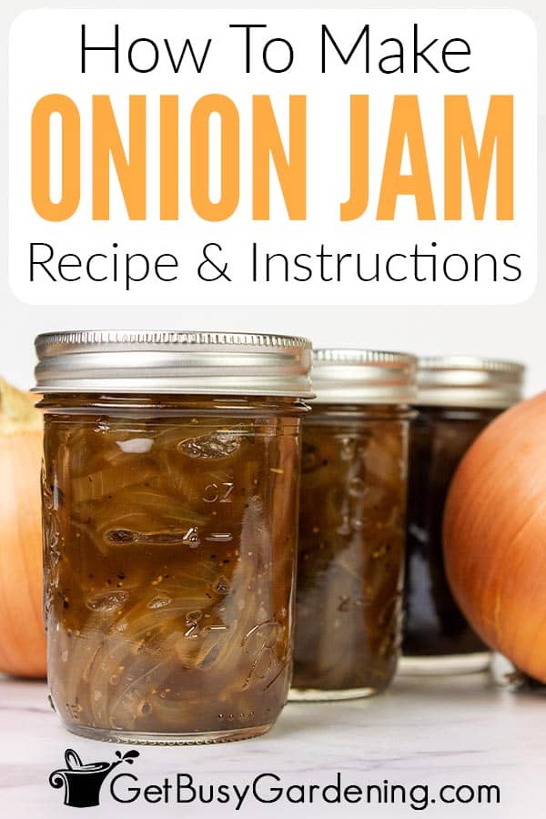 How To Make Onion Jam Recipe & Instructions