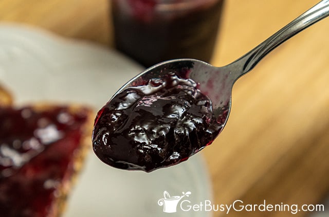 Perfectly thickened grape jelly