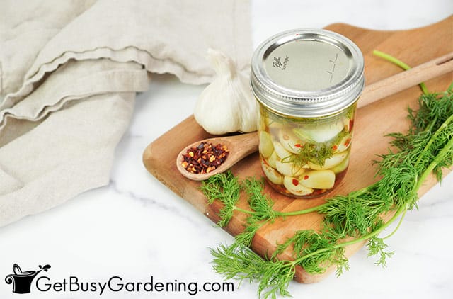 Freshly made pickled garlic in a jar