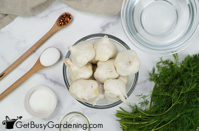 Ingredients for making pickled garlic