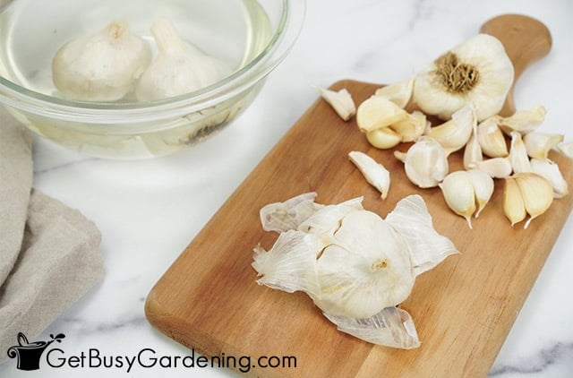 Peeling the garlic cloves