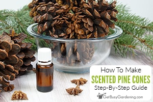How To Make DIY Scented Pine Cones