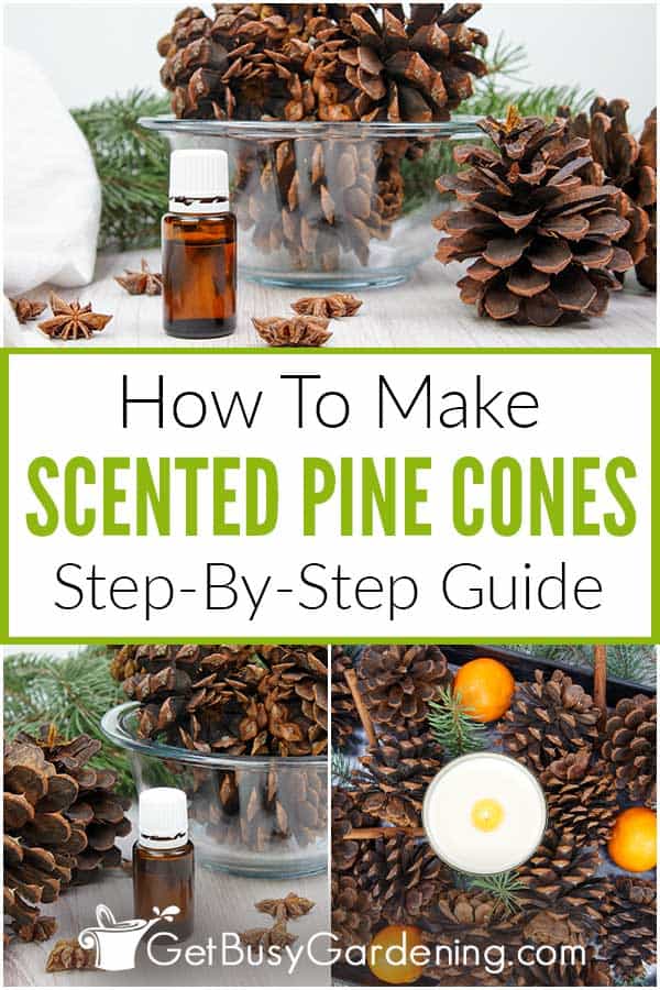 How To Make Scented Pine Cones Step-By-Step Guide