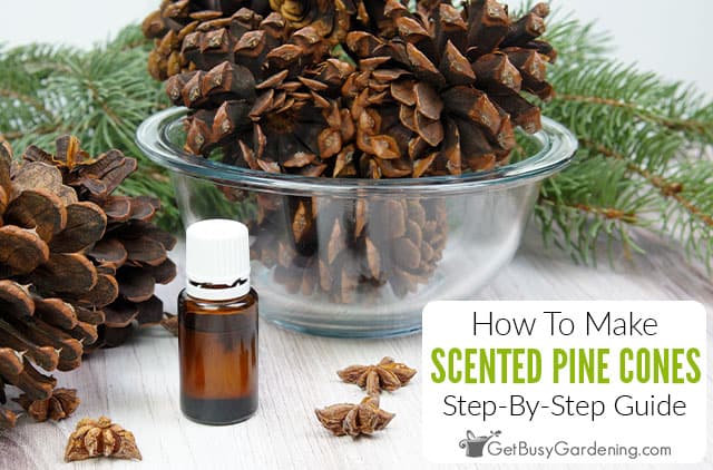 How To Make DIY Scented Pine Cones