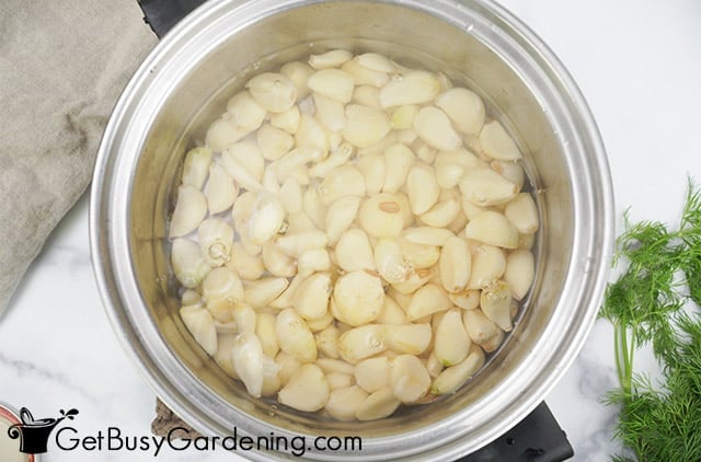 Simmering garlic in pickling brine