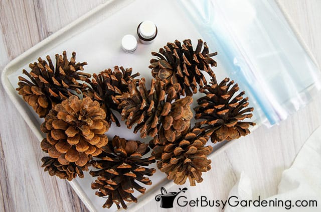Supplies needed for making scented pine cones