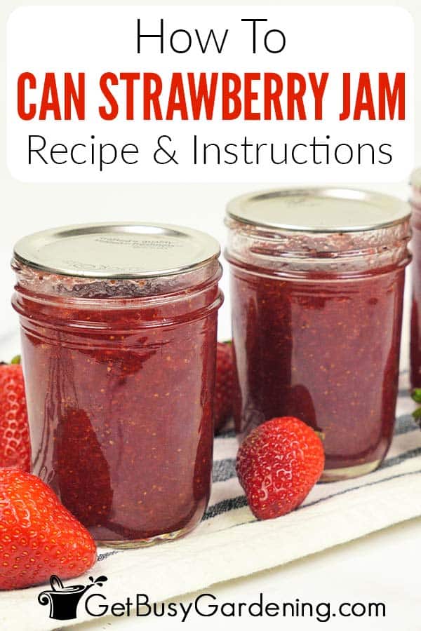 How To Can Strawberry Jam Recipe & Instructions