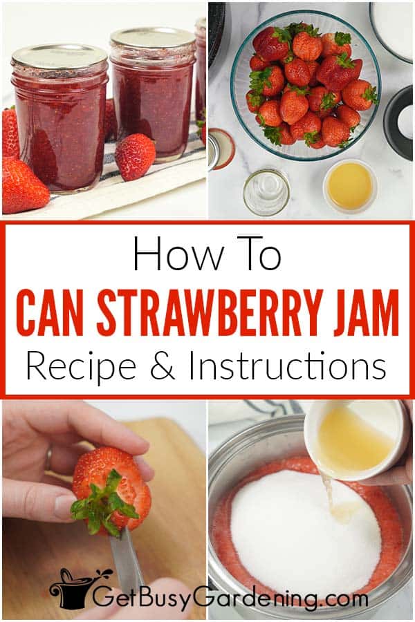 How To Can Strawberry Jam Recipe & Instructions