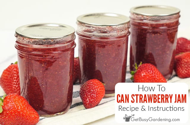 How To Can Strawberry Jam (With Recipe!)