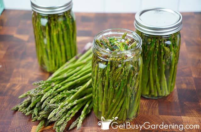 Jars filled with pickled asparagus
