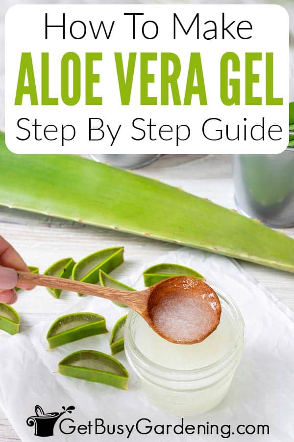 How To Make Aloe Vera Gel Step By Step Guide