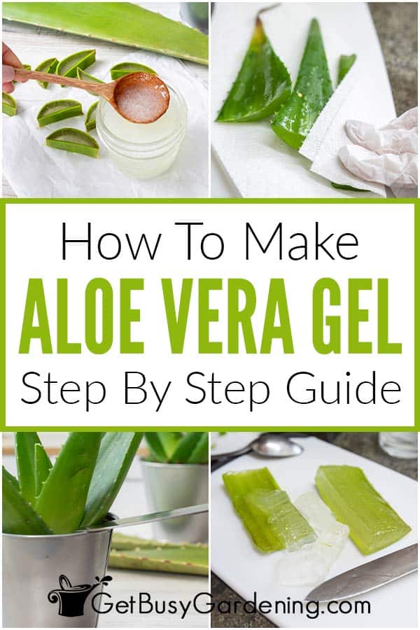 How To Make Aloe Vera Gel Step By Step Guide