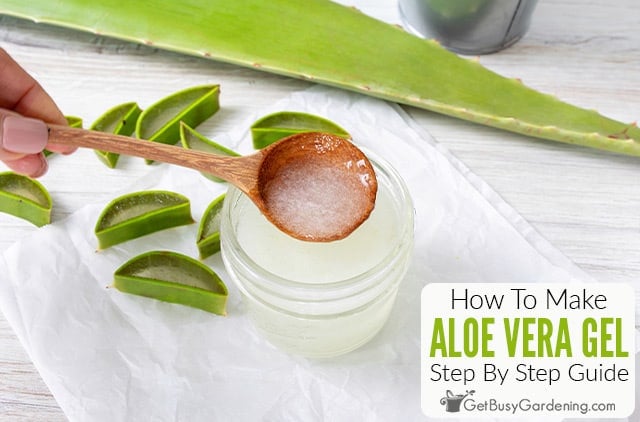 How To Make Aloe Vera Gel At Home