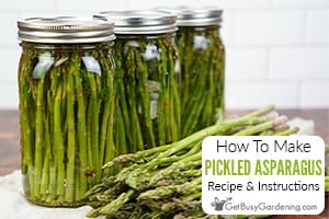 How To Make Pickled Asparagus (With Recipe)