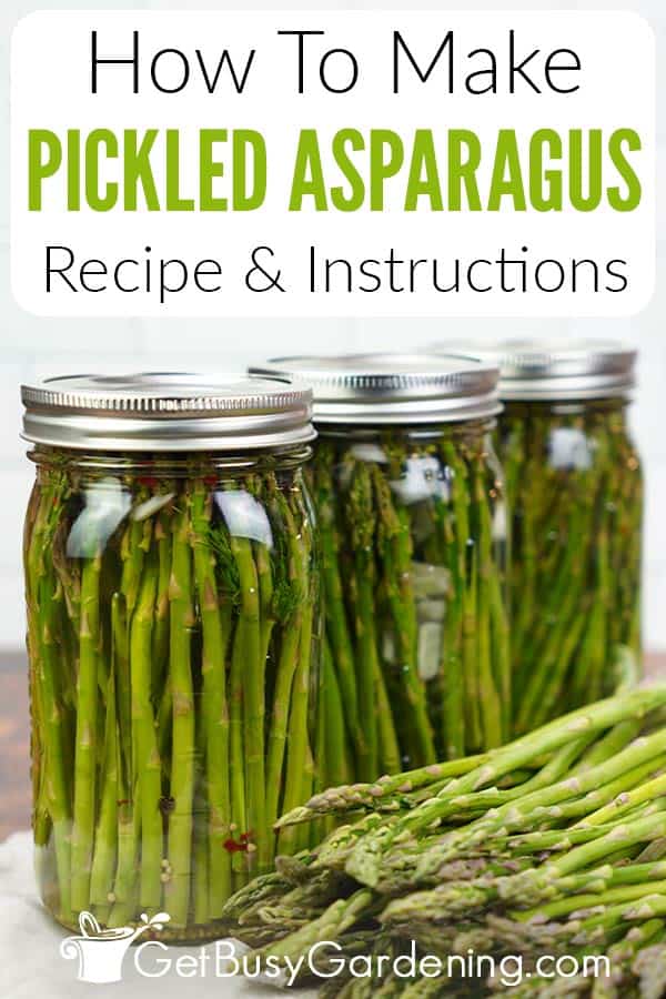 How To Make Pickled Asparagus Recipe & Instructions