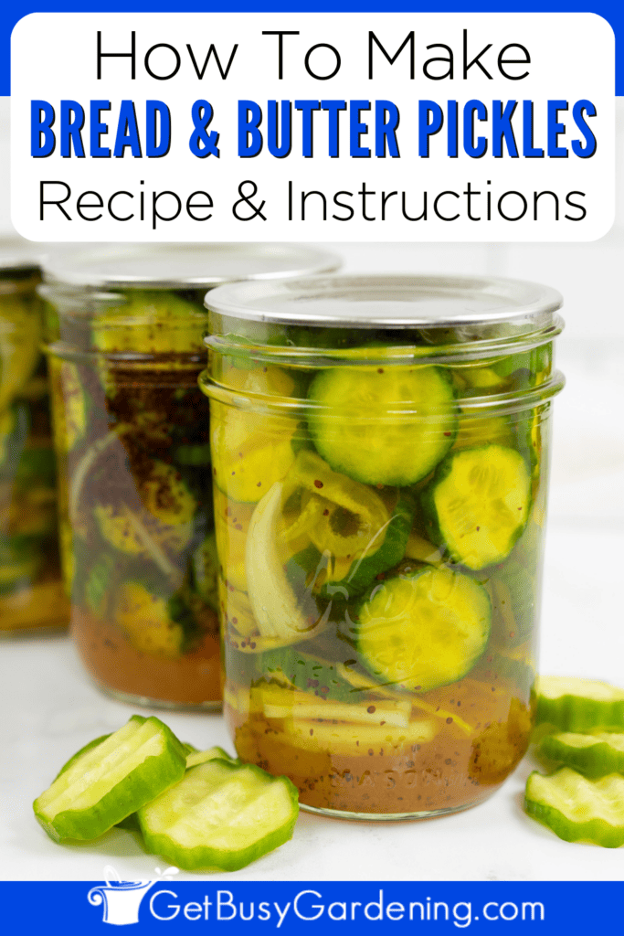 How To Make Bread & Butter Pickles Recipe & Instructions