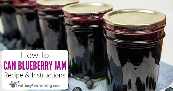 Canning Blueberry Jam - Recipe & Instructions