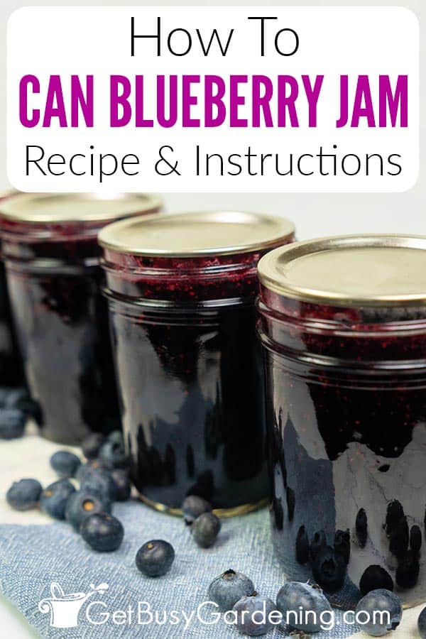 How To Can Blueberry Jam Recipe & Instructions